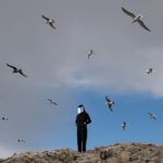 HAMERKOP - REMOTE