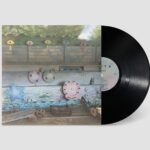 AZITA - GLEN ECHO Vinyl Record