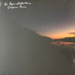 SIX ORGANS OF ADMITTANCE - Companion Rises
