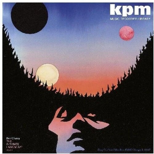 DC810.jpg BEN CHASNY - THE INTIMATE LANDSCAPE Vinyl Record - Image 1