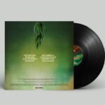 Cantrips - From A Darebin Cave Vinyl Record