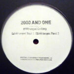 2000 and One - Wrangel Calling