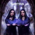 DIANTHUS - REALMS