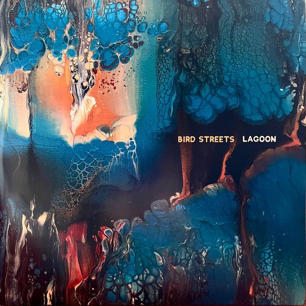 DEKO1088-1.jpg BIRD STREETS - LAGOONS Vinyl Record - Image 1