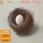 100 PROOF AGED IN SOUL - Somebodys Been Sleeping In My Bed Vinyl Record