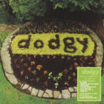 DODGY - ACE AS & KILLER BS (GREEN &