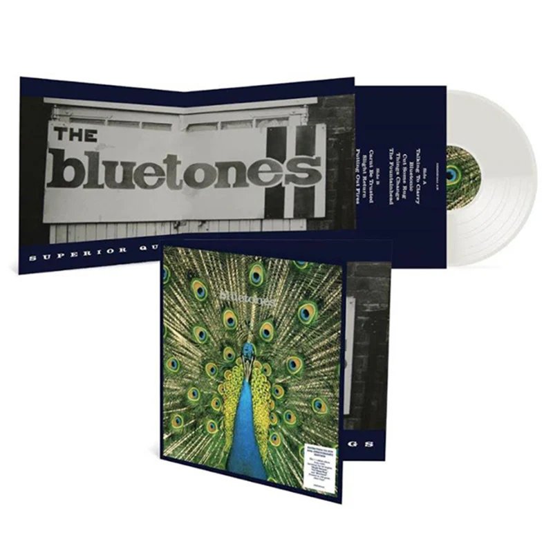 DEMRECBOX58.jpg BLUETONES THE - EXPECTING TO FLY - 25TH ANNIVE Vinyl Record - Image 1