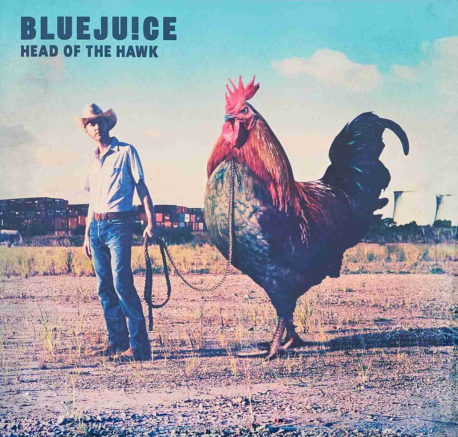 DEW9001241.jpg BLUEJUICE - HEAD OF THE HAWK (LIMITED CYAN Vinyl Record - Image 1