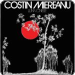 Costin Miereanu - Luna Cinese Vinyl Record