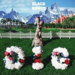 BLACK HONEY - DIG Vinyl Record