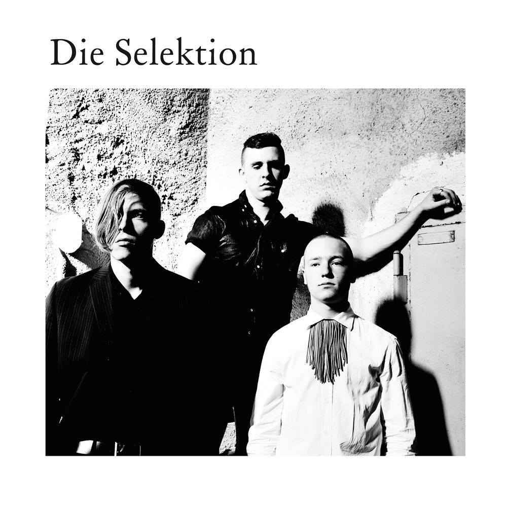DK0020.jpg DIE SELEKTION - DIE SELEKTION - Image 1