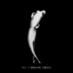 STL - Nonzero Sonics