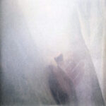 SUN AIRWAY - WILD PALMS