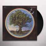 BILL FAY - COUNTLESS BRANCHES Vinyl Record