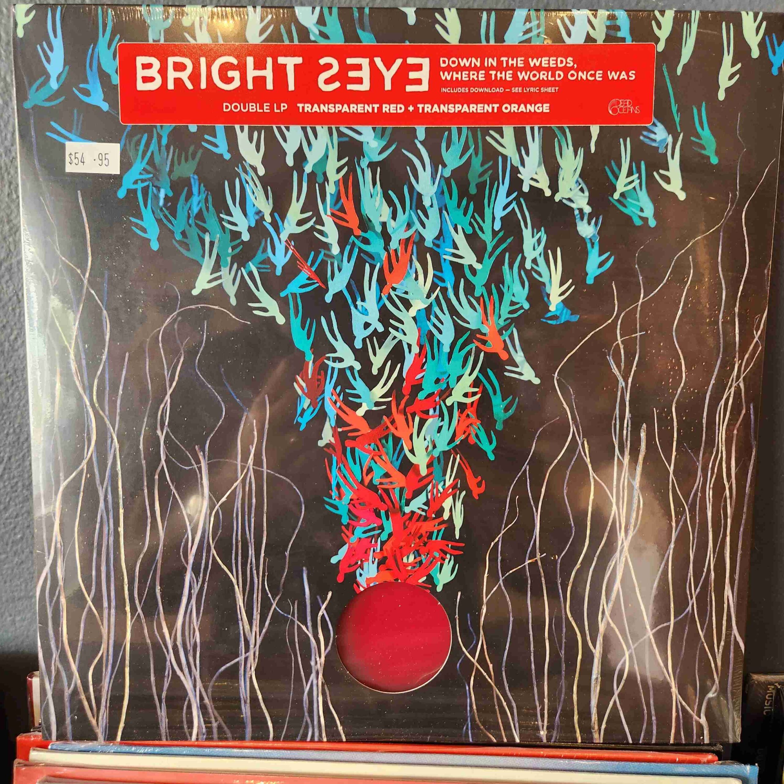DOC210LP-scaled-1.jpg BRIGHT EYES - DOWN IN THE WEEDS, WHERE THE WORLD ONCE WAS Vinyl Record - Image 1