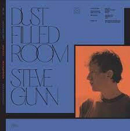 DOC272LP.jpg BILL FAY & STEVE GUNN - DUST FILLED ROOM Vinyl Record - Image 1
