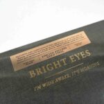BRIGHT EYES - I'M WIDE AWAKE, IT'S MORNING: A COMPANION Vinyl Record
