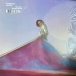 CASSANDRA JENKINS - MY LIGHT, MY DESTROYER Vinyl Record