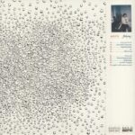 ASTREL K - FLICKERING I Vinyl Record