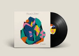 DSV005LP.jpg B VISIBLE - Pleasant Clutter Vinyl Record - Image 1