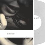BIRDS IN ROW - YOU ME & THE VIOLENCE Vinyl Record