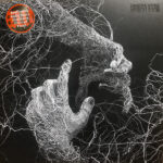 UMBRA VITAE - SHADOW OF LIFE