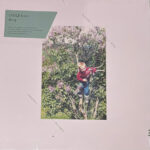 EYOLF DALE - BEING