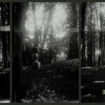 EYOLF DALE - WAYFARERS THE