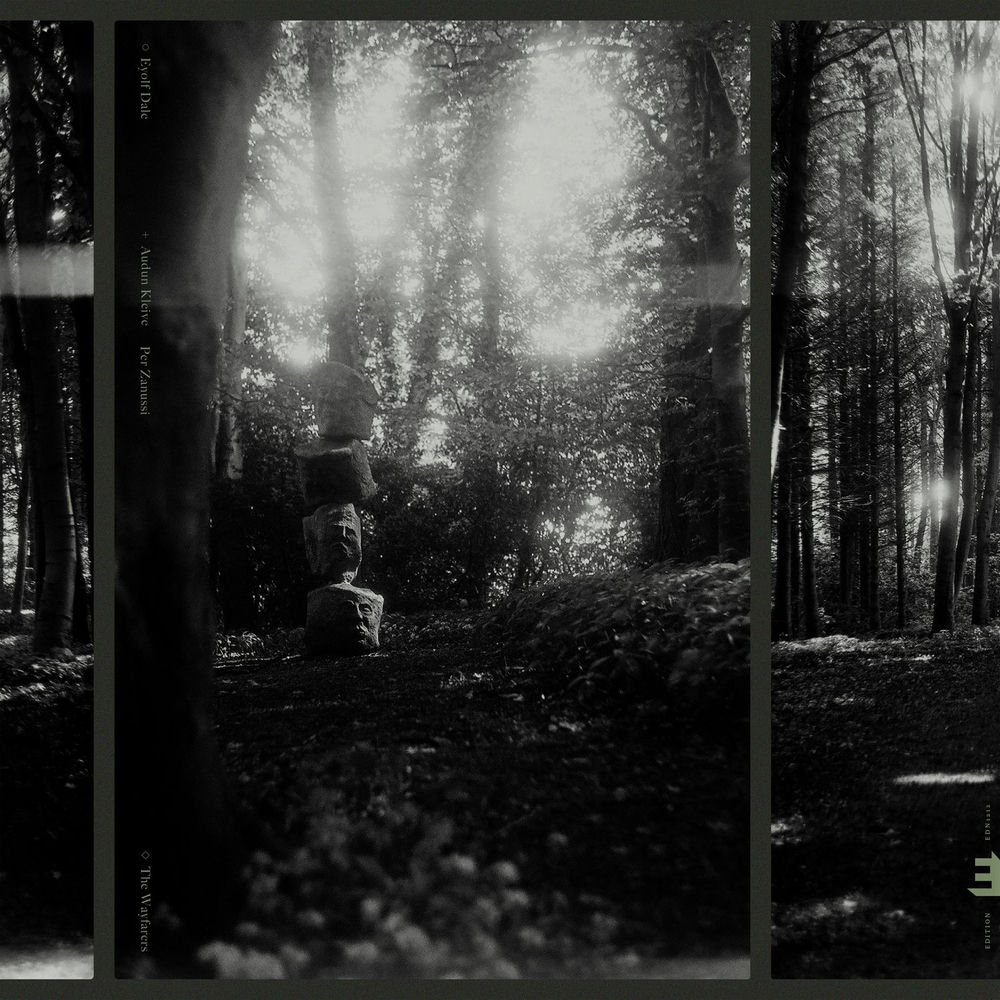 EDNLP1212-1.jpg EYOLF DALE - WAYFARERS THE - Image 1