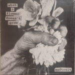 SOFTCULT - WHEN A FLOWER DOESN'T GROW