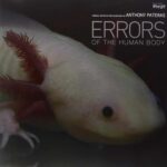 ANTHONY PATERAS - Errors Of The Human Body Ost Vinyl Record