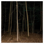 EXPRESS RISING - FIXED ROPE II