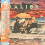 ANDERSON .PAAK - MALIBU (10 YEAR ANNIVERSARY)