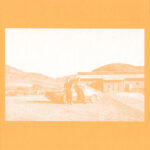 FRENZIED BRICKS - The Frenzied Bricks