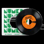 BUMP & THE SOUL STOMPERS - I CAN REMEMBER B/W STANDING ON THE OUTSIDE Vinyl Record