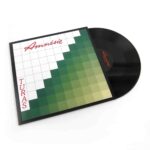 AMNESIE WITH THE NICOLOSI FAMILY - Turas Vinyl Record