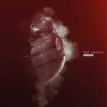 AMENTA THE - REVELATOR (LIMITED BLACK/RED S