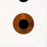 BLACKBYRDSTHE - REGGINS / BLACKBYRDS THEME Vinyl Record