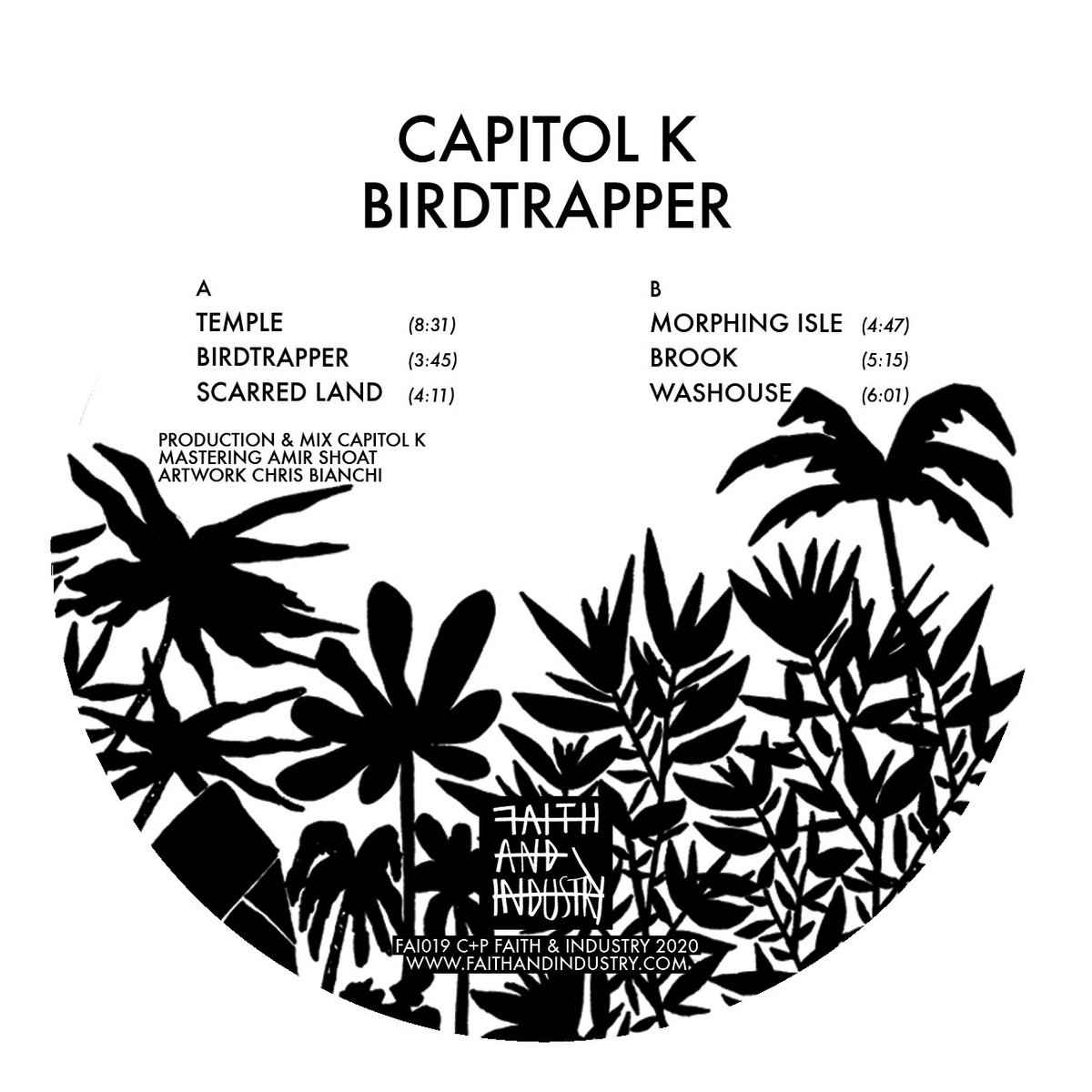 FAI019.jpg CAPITOL K - Birdtrapper Vinyl Record - Image 1