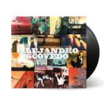 ALEJANDRO ESCOVEDO - BURN SOMETHING BEAUTIFUL Vinyl Record