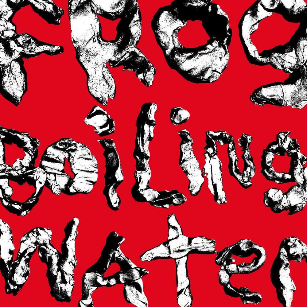 FAN2346.jpg DIIV - Frog In Boiling Water - Image 1