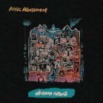 ATTIC ABASEMENT - DREAM NEWS Vinyl Record