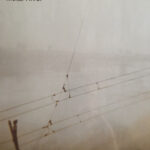 RICHARD YOUNGS - Metal River