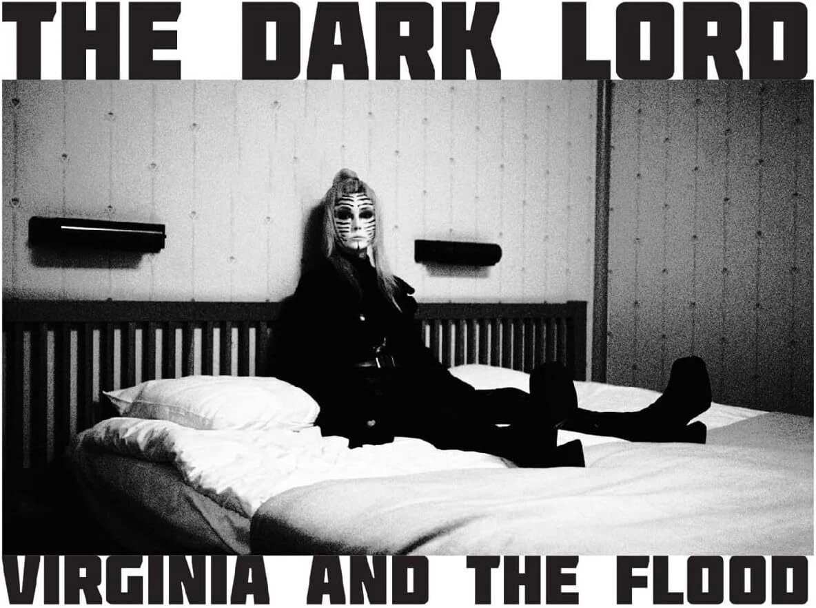 FIRELP599X.jpg VIRGINIA WING - PRIVATE LIFE (DINKED) Vinyl Record - Image 1