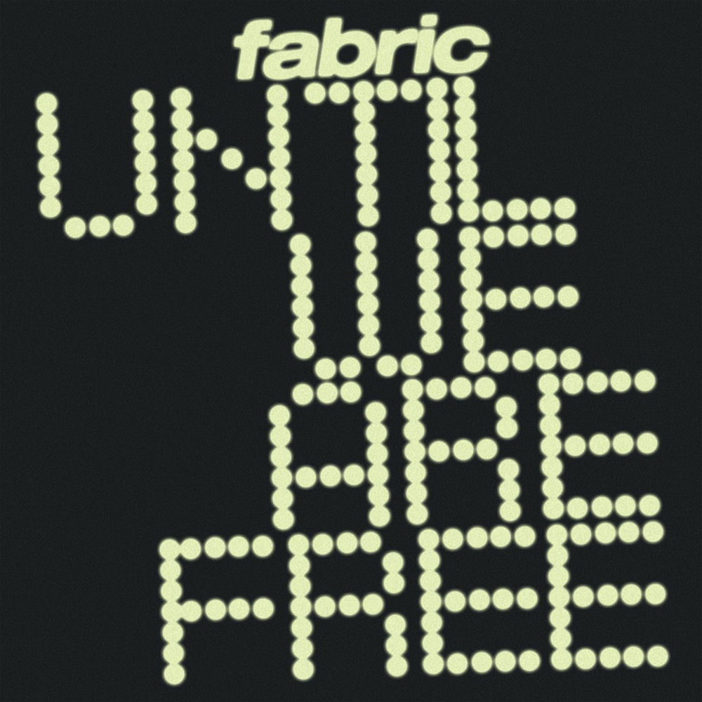FLIES78.jpg fabric - Until We Are Free - Image 1