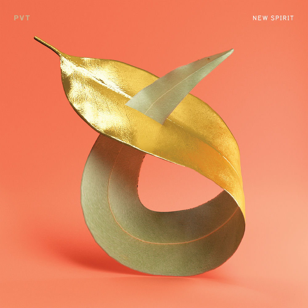 FLT038LP.jpg PVT - NEW SPIRIT - Image 1