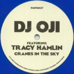 DJ Oji - Cranes In The Sky