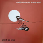 YONDER MOUNTAIN STRING BAND - GOOD AS TRUE