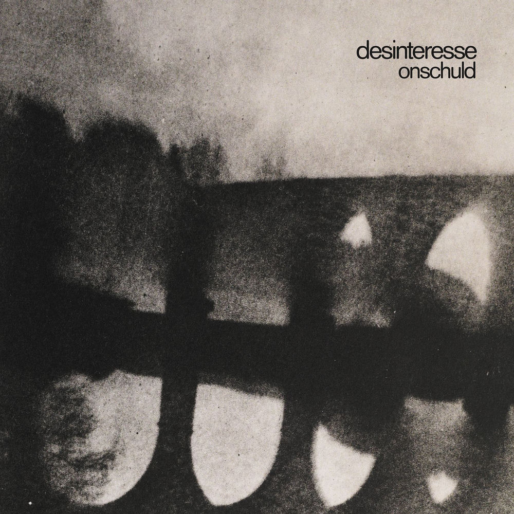 FP040LP.jpg DESINTERESSE - ONSCHULD - Image 1