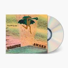 FP11851.jpg AWAKEBEATEN - THUNDER$TROKE Vinyl Record - Image 1